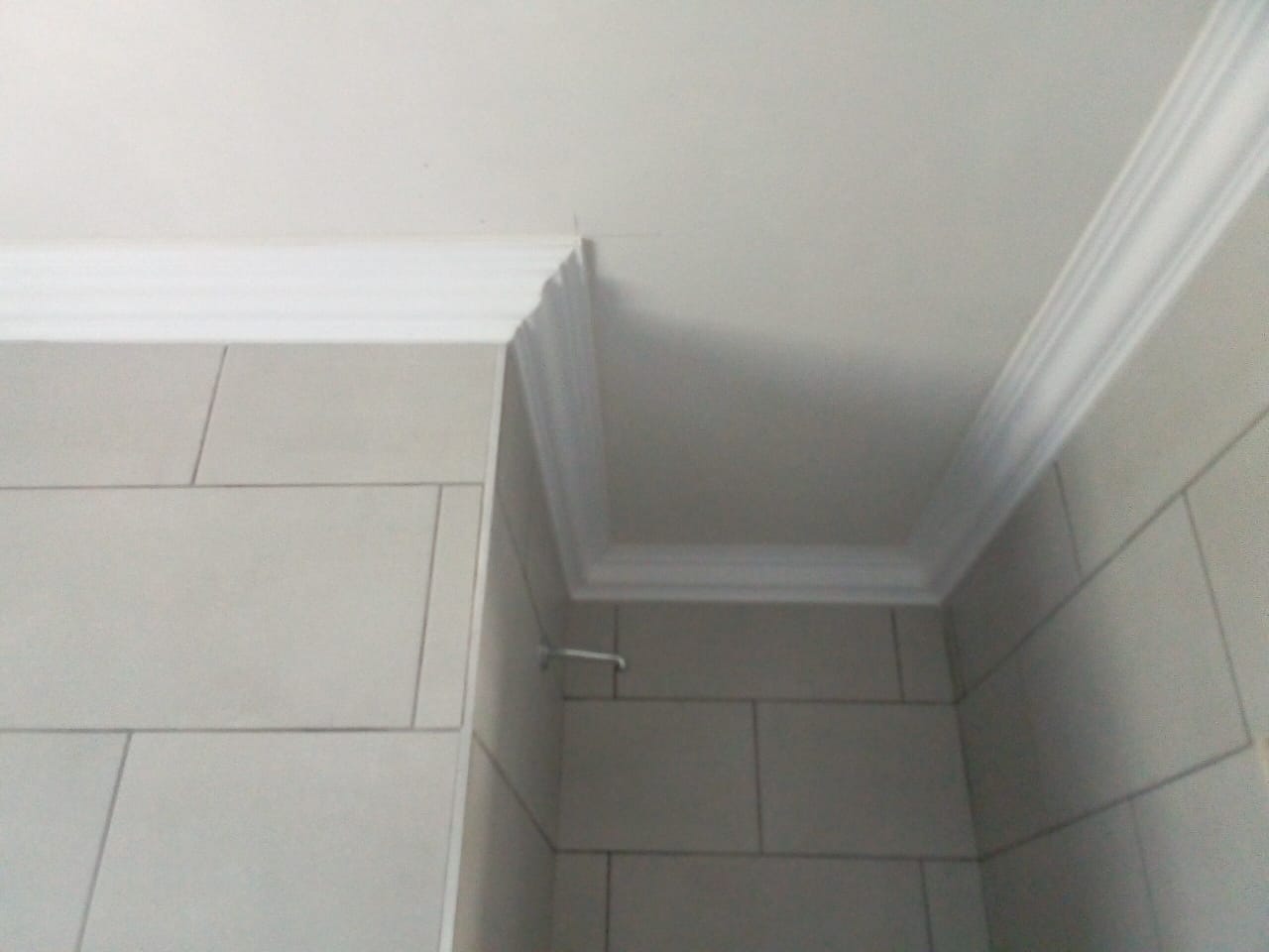 PVC ceiling painting